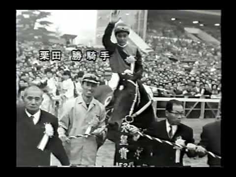 名馬物語 シンザン
