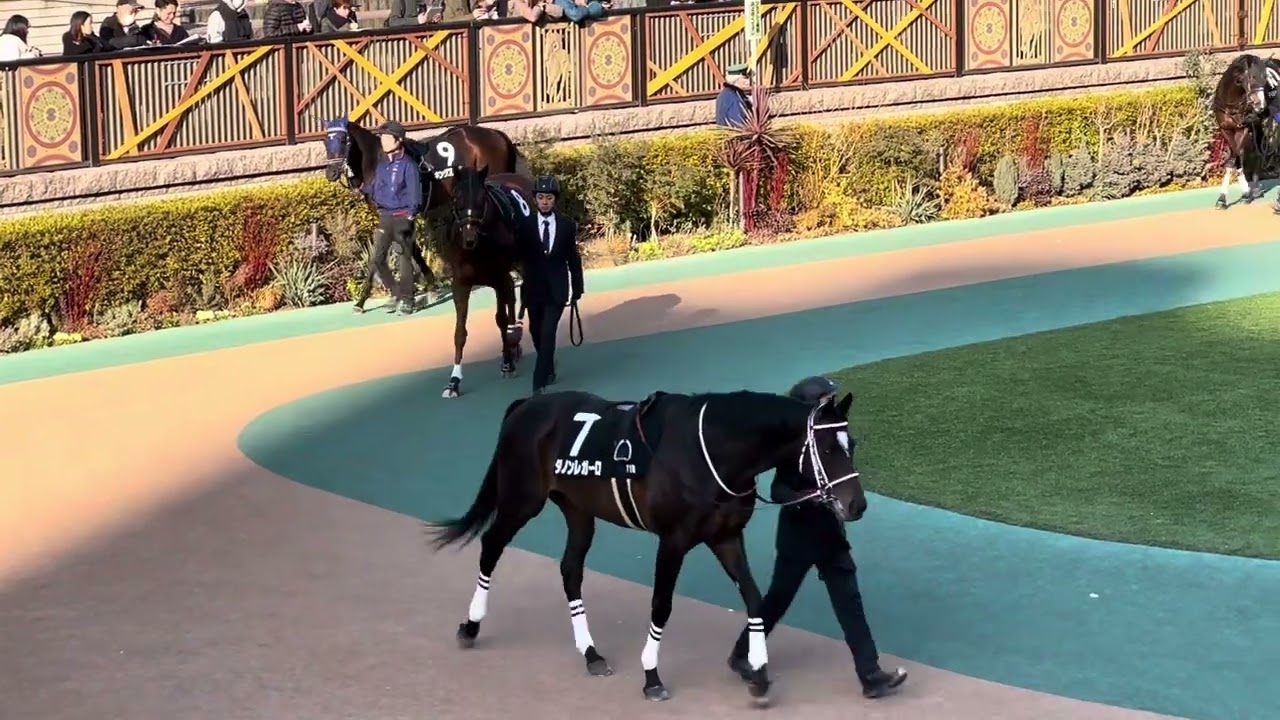 【ジャパンカップベストレース記念】パドック1