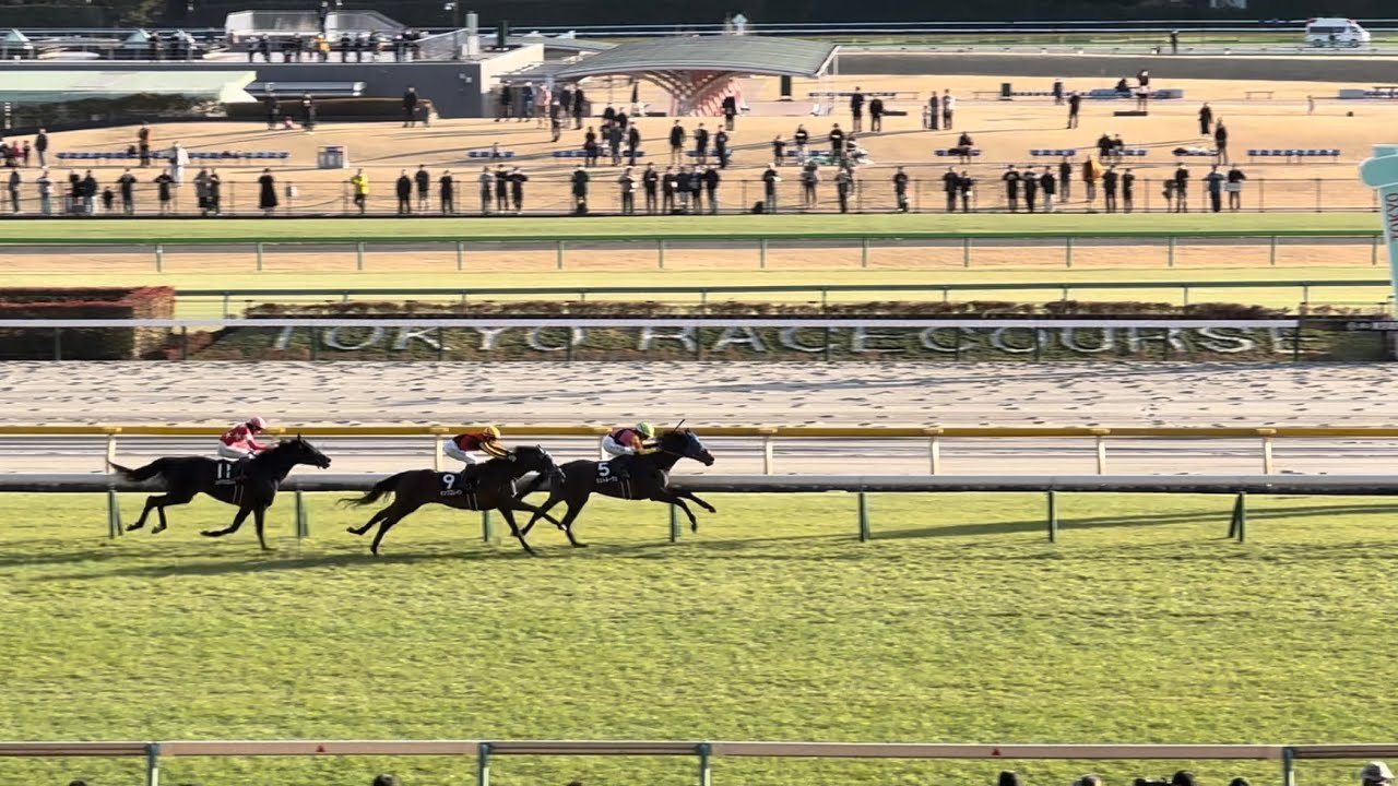 【ジャパンカップベストレース記念】シュトルーヴェ 現地