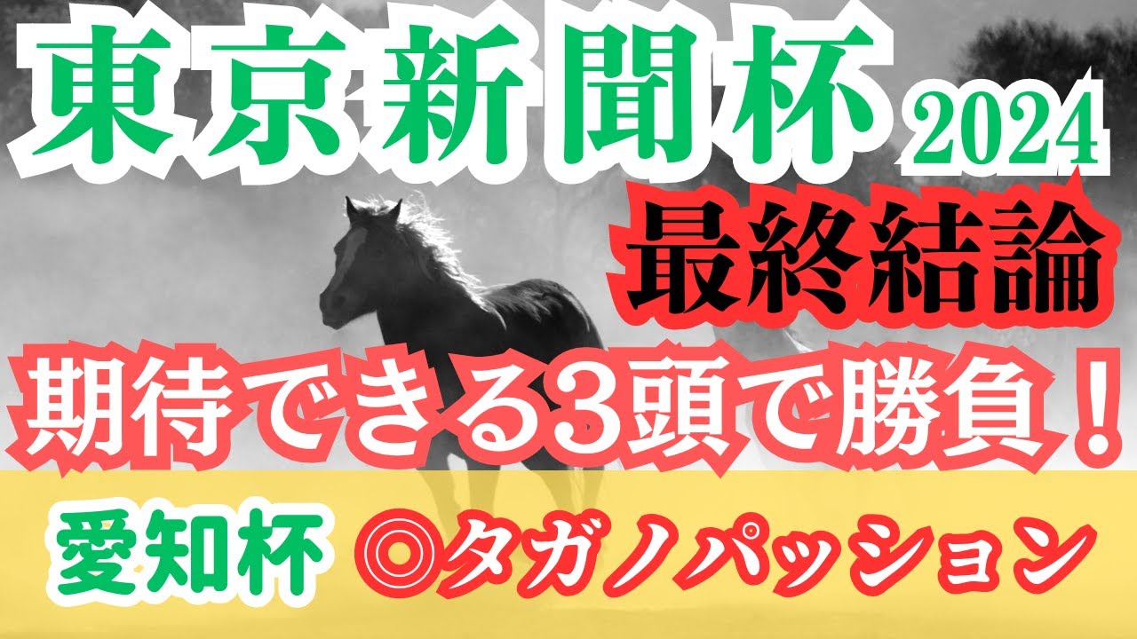 【東京新聞杯2024最終結論】鞍上込みで期待できる馬を本命に！3頭に絞って勝負！