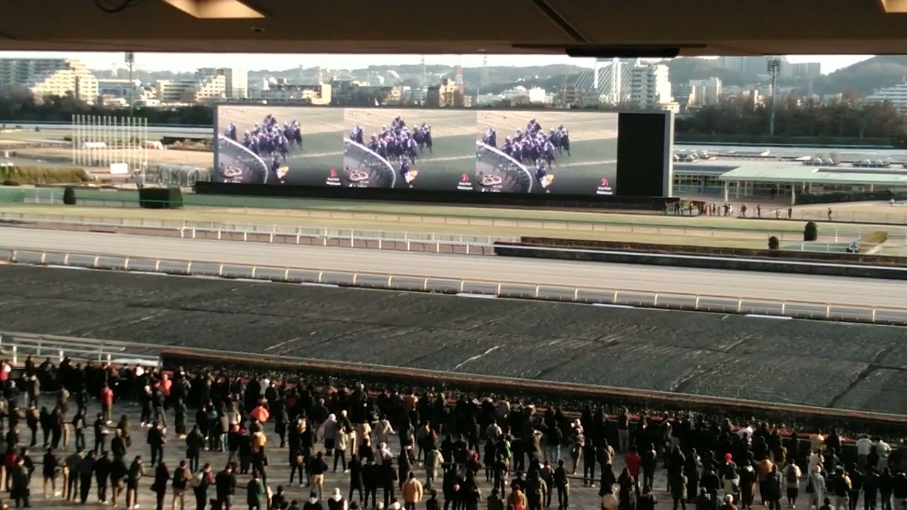 【有馬記念(G1)】2023現地映像🐴『⑤ドウデュース感動の勝利💓④タイトルホルダー３着写真判定で大歓声の東京競馬場』👍️