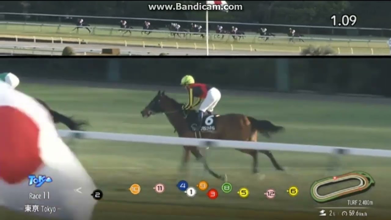 2024年2月3日　東京11R　JCベストレース記念 (3勝クラス)　シュトルーヴェ