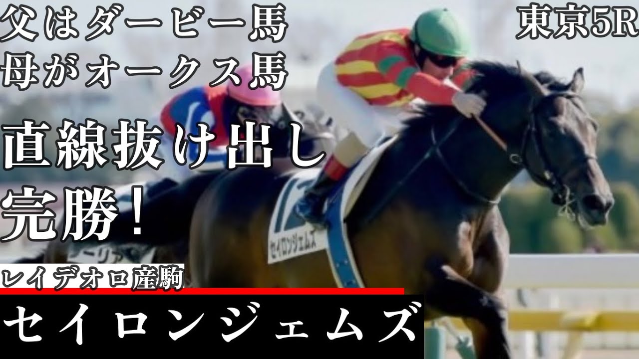 【今日競馬】父はダービー馬、母がオークス馬！良血馬が直線抜け出して完勝！ルメール騎乗の《セイロンジェムズ》東京5Rメイクデビュー2024/02/03
