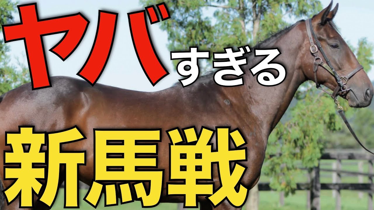競馬史上最高の新馬戦！？驚異のメンバーが集結する一戦。