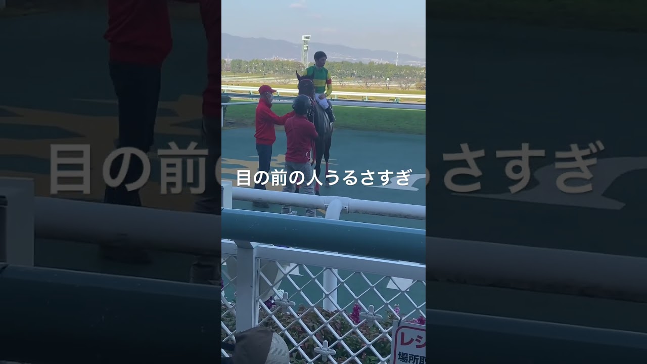 勝利馬　迷惑　#迷惑行為