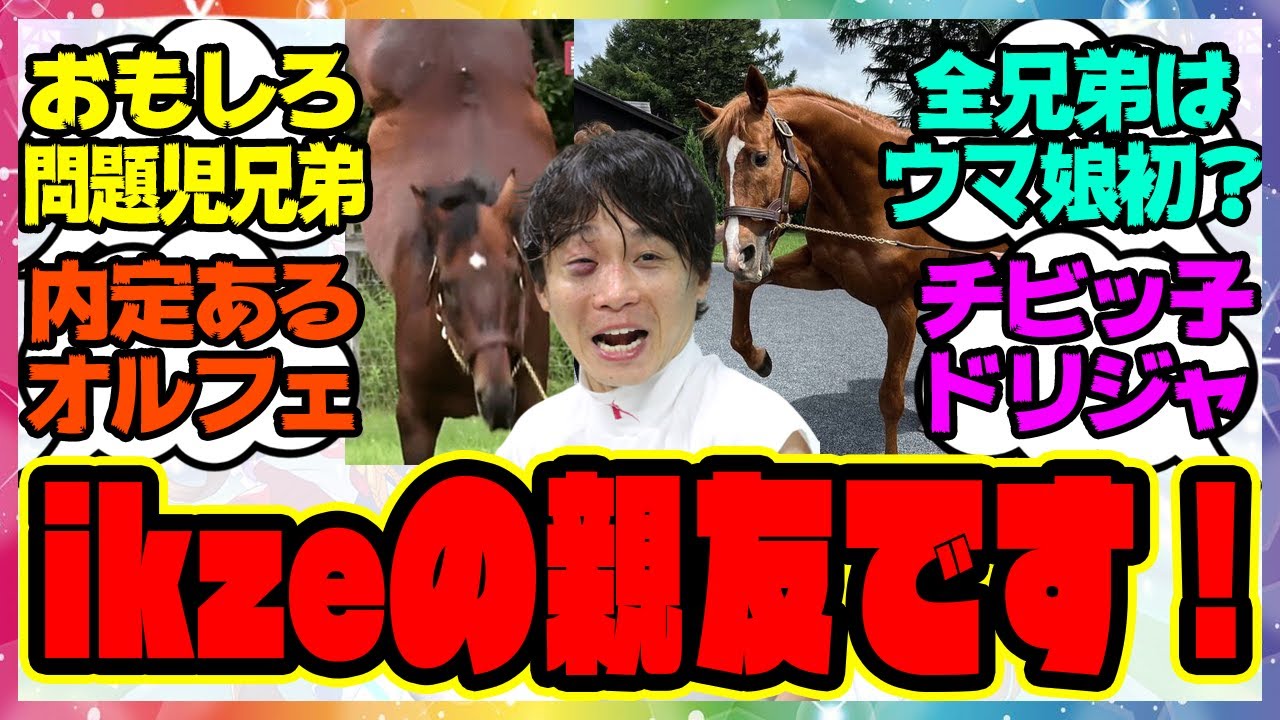 『池添の親友、ウマ娘に来てくれと願って止まないおもしろ兄弟』に対するみんなの反応集 まとめ ウマ娘プリティーダービー レイミン オルフェーヴル ドリームジャーニー