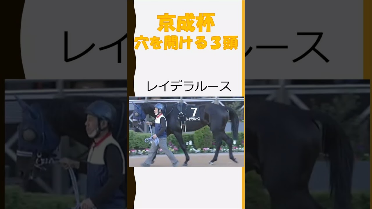 【競馬予想】京成杯で穴を開ける馬３頭#shorts