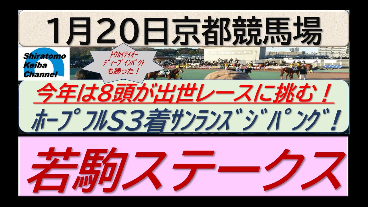 【競馬予想】若駒ステークス！～２０２４年１月２０日 京都競馬場 ：１－３９