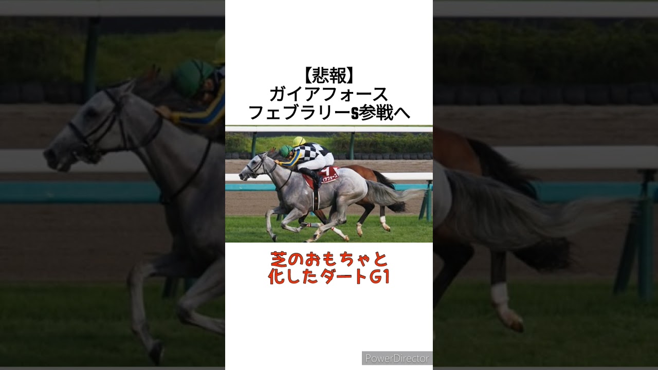 【悲報】ガイアフォースがフェブラリーS参戦へ　 #競馬
