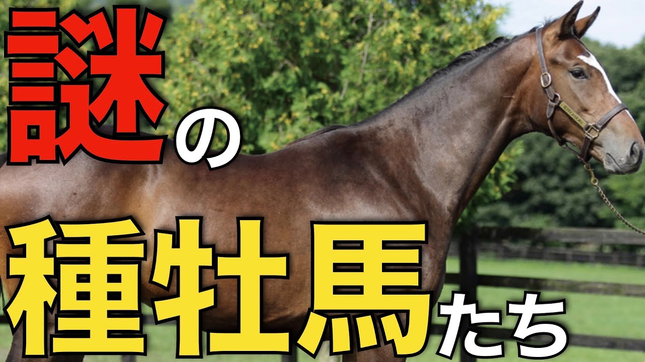 種牡馬リーディング下位の謎の馬たちから見つけた驚きの発見！