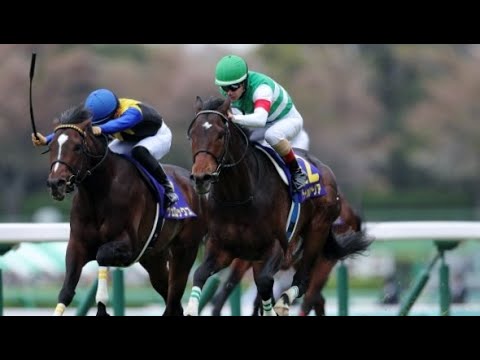 第79回　皐月賞(G1)　サートゥルナーリア　牡3　57　Ｃ.ルメール　2019.4.14　　出走馬：ヴェロックス、ダノンキングリー、アドマイヤマーズ、クラージュゲリエ、タガノディアマンテ他