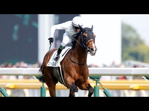 第86回　東京優駿（日本ダービー）(G1)　ロジャーバローズ　牡3　57　浜中俊　2019.5.26　　出走馬：ダノンキングリー、ヴェロックス、サートゥルナーリア、ニシノデイジー、クラージュゲリエ他