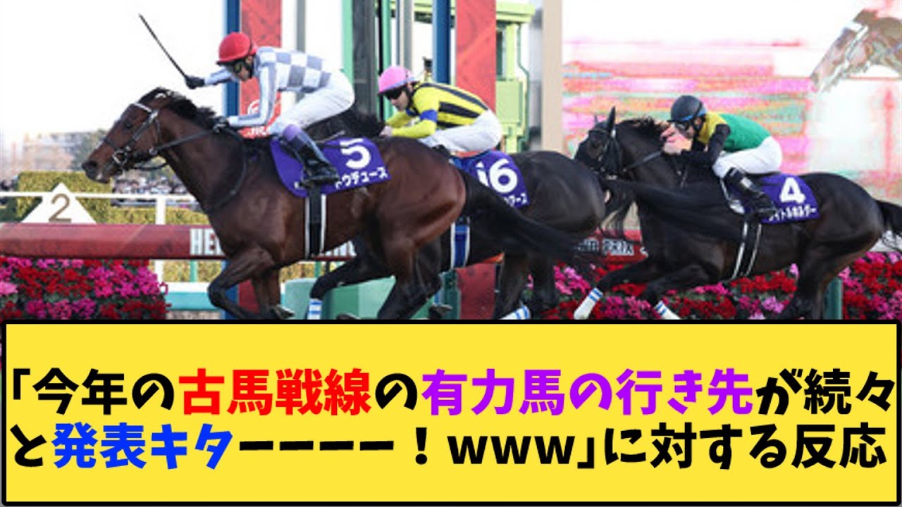 【競馬】「今年の古馬戦線の有力馬の行き先が続々と発表キターーー！www」に対する反応【反応集】