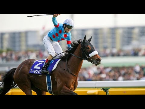 第160回　天皇賞(秋)(G1)　アーモンドアイ　牝4　56　Ｃ.ルメール　2019.10.27　　出走馬：ダノンプレミアム、ユーキャンスマイル、ワグネリアン、サートゥルナーリア、スワーヴリチャード他