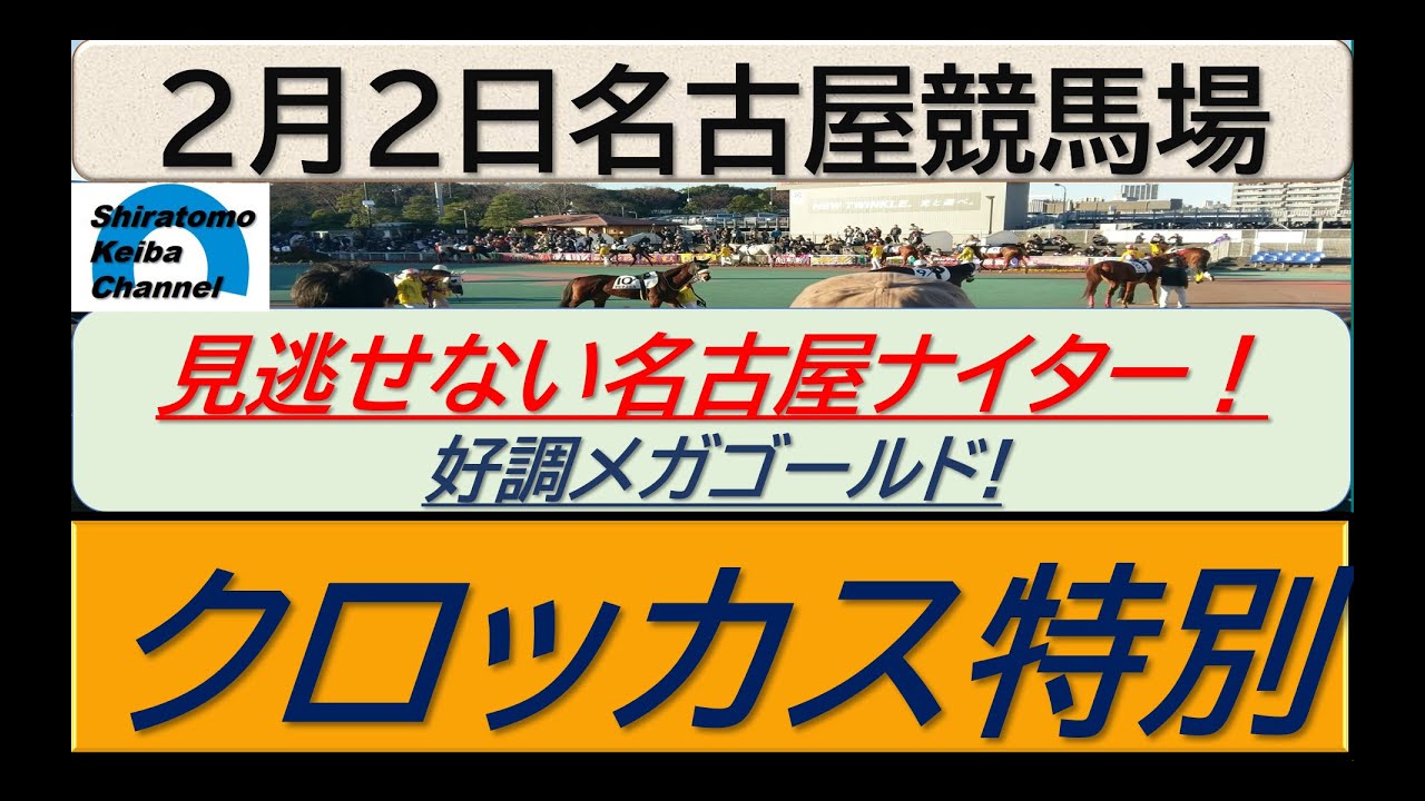 【競馬予想】クロッカス特別！～２０２４年２月２日 名古屋競馬場 ：２－４