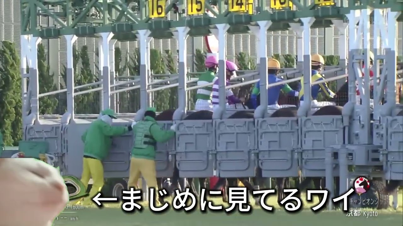 マイルチャンピオンシップ2023のワイを猫ミームで振り返る