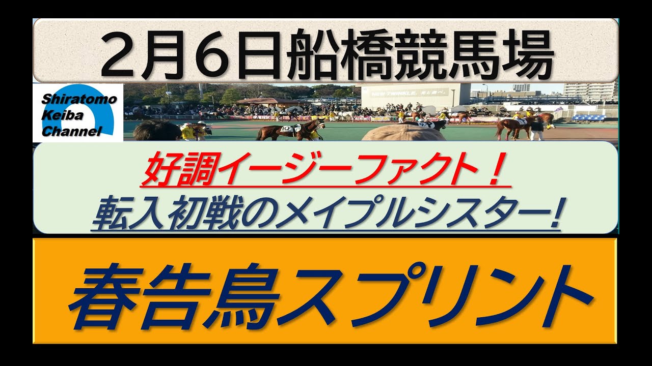 【競馬予想】春告鳥スプリント！～２０２４年２月６日 船橋競馬場 ：２－１３