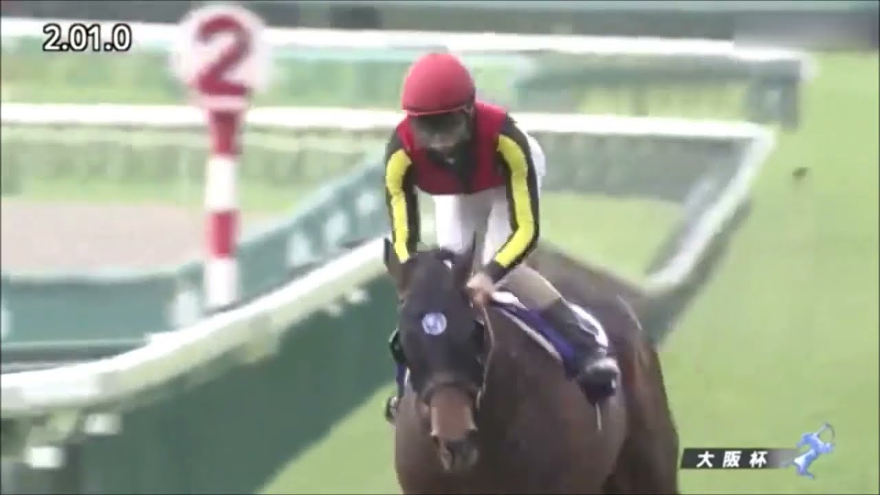 第63回　大阪杯 （ＧⅠ）　アルアイン　牡５　57　北村友一　2019.3.31　　出走馬：キセキ、ワグネリアン、マカヒキ、エアウィンザー、ブラストワンピース、スティッフェリオ、ムイトオブリガード他