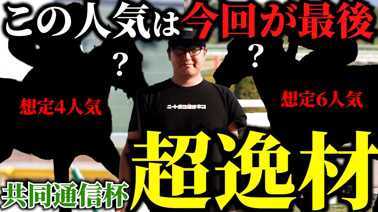 【共同通信杯】"ダービー馬"になるかも知れません