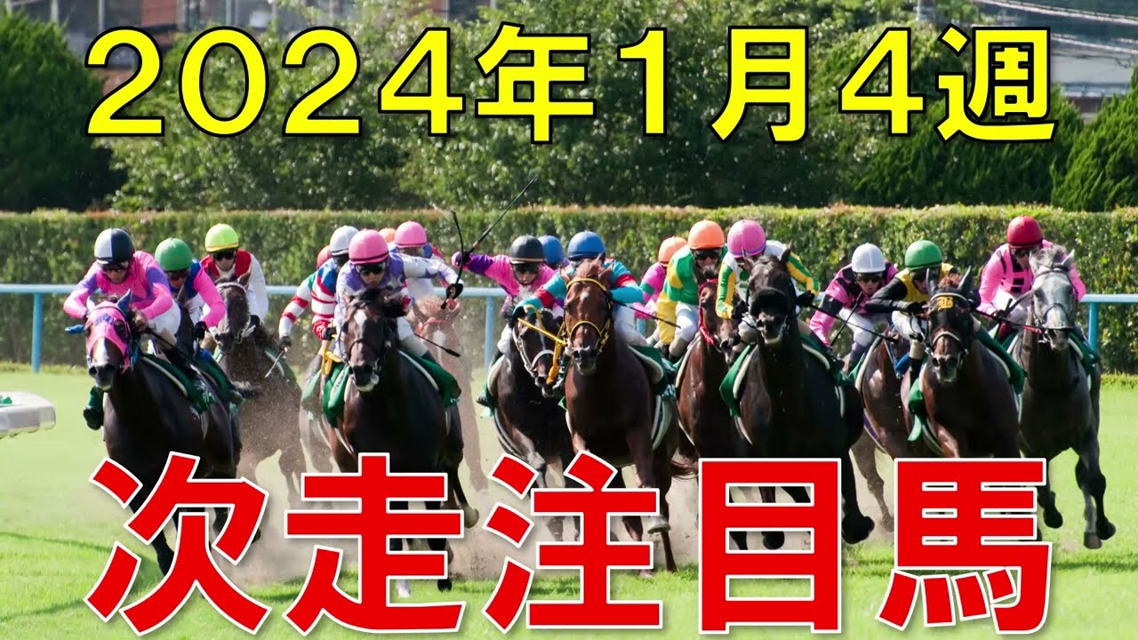 JRA競馬 平場 予想 回顧から次走の注目馬＆先週の振り返り【2024年1月27日・28日】