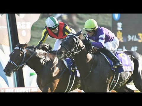 第79回　菊花賞（ＧⅠ）　フィエールマン　牡３　57　C.ルメール　2018.10.21　　出走馬：エタリオウ、ユーキャンスマイル、ブラストワンピース、グローリーヴェイズ、エポカドーロ他