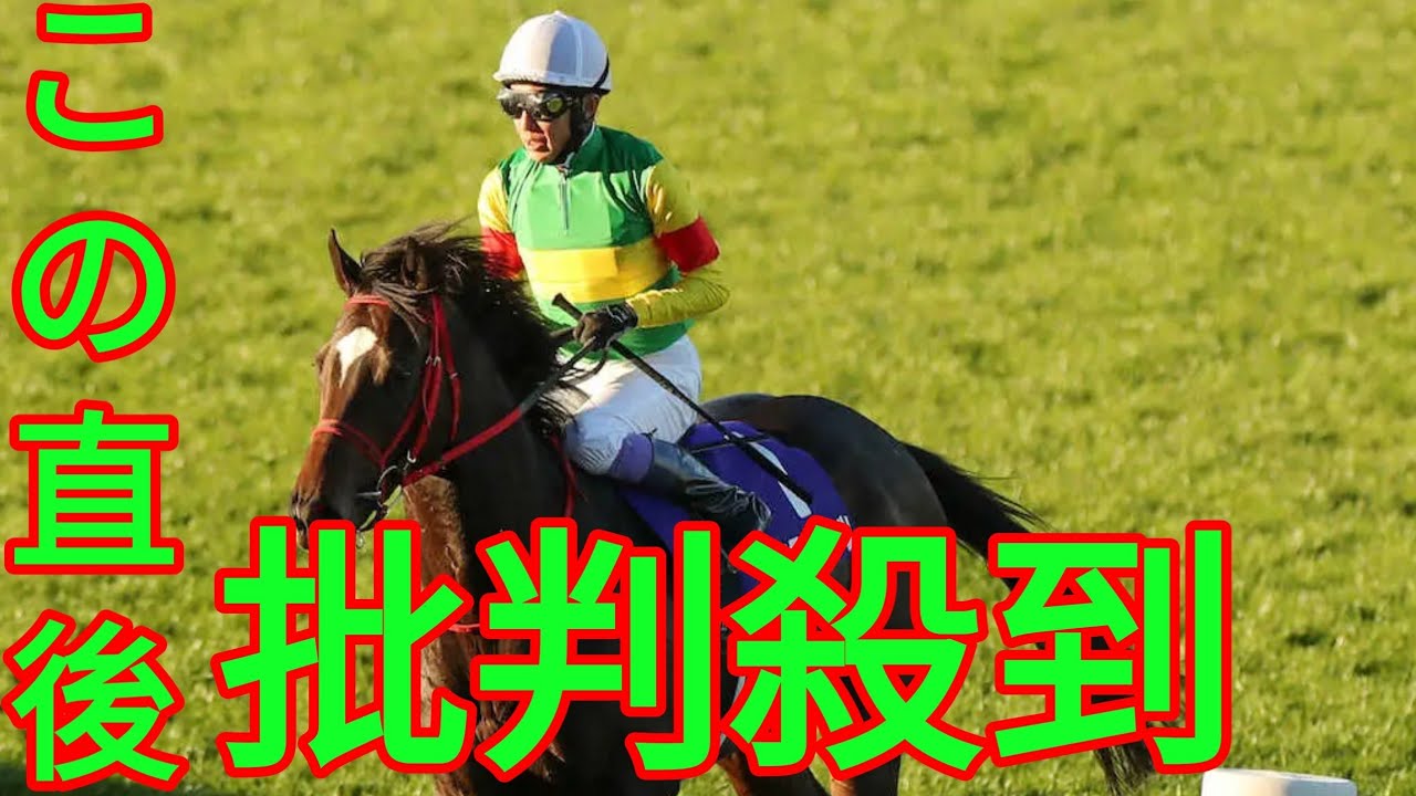 朝日杯FS２着のエコロヴァルツ「次につながる結果が出てくれれば」と山田助手／共同通信杯