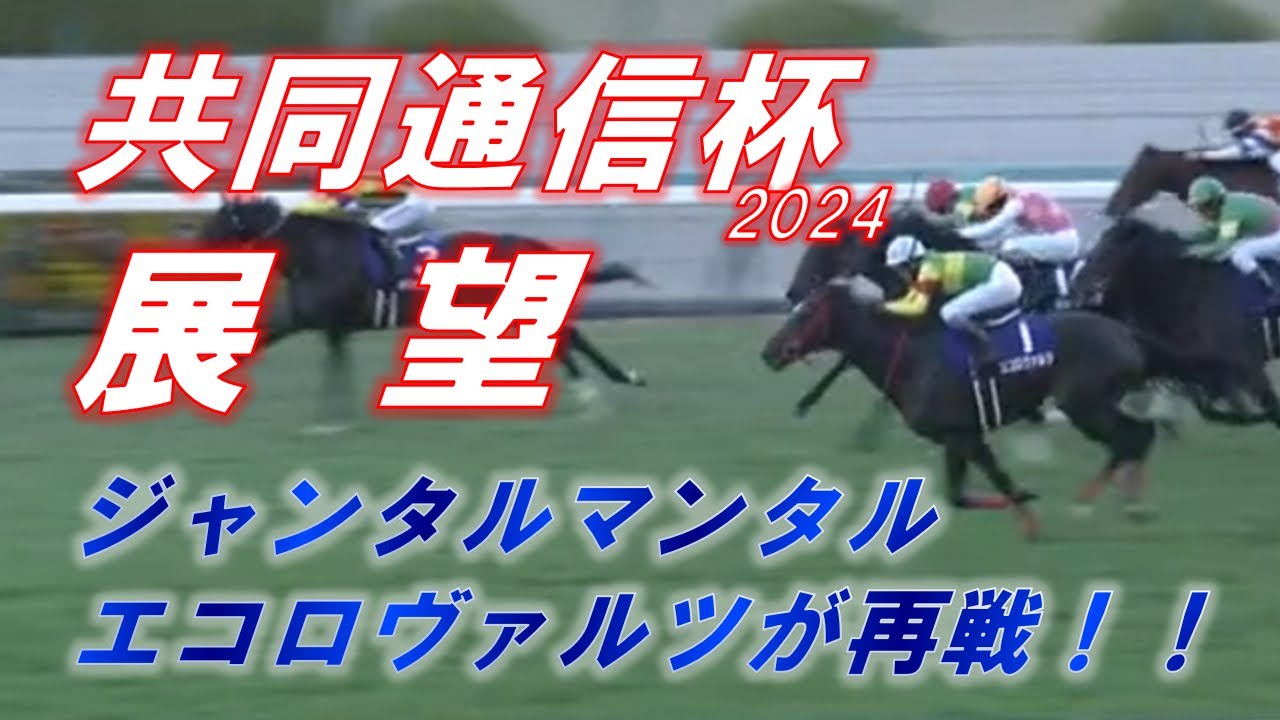 共同通信杯2024　展望　ジャンタルマンタル VS エコロヴァルツ！！　元馬術選手のコラム by アラシ