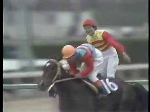 1980 桜花賞 ハギノトップレディ