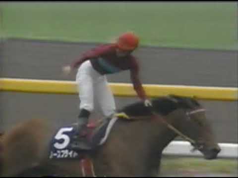 1994 安田記念 ノースフライト
