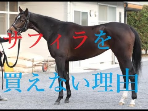 クイーンカップ 2024 サフィラとクイーンズウォークは消える 先週推奨穴馬２頭好走 クラシック路線に異常あり？