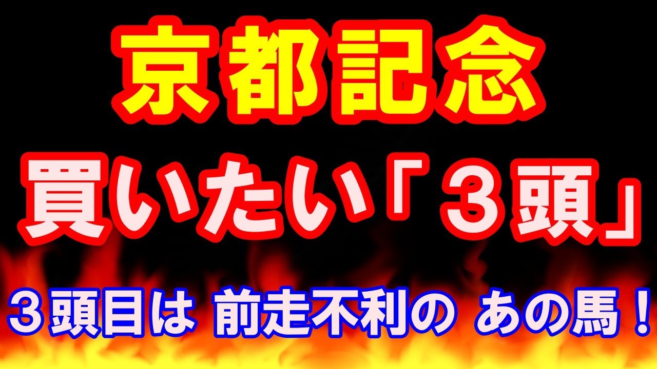 京都記念 2024 【買いたい３頭】 ３頭目は 前走不利の あの馬！
