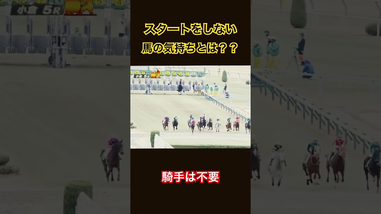騎手がいなくなってから走り出す競走馬