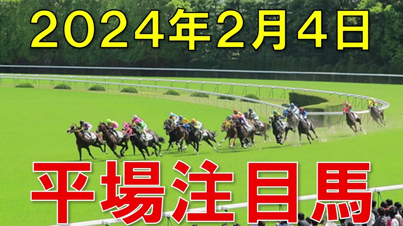 JRA 競馬予想 厳選平場予想 2月4日 平場の注目馬ピックアップ