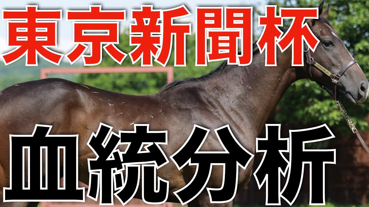 【東京新聞杯】1番人気のあの馬に気になるデータあり！ちょっと注意かも。