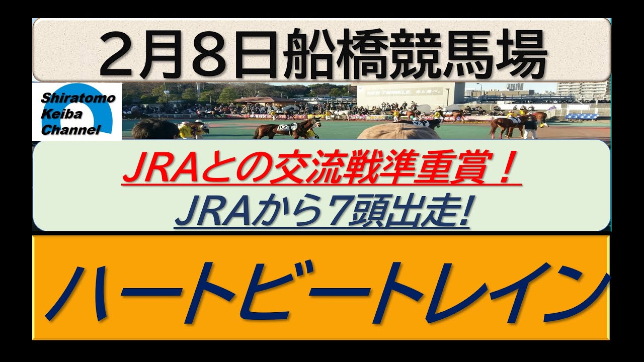 【競馬予想】準重賞・ハートビートレイン　JRAとの地方交流戦！～２０２４年２月８日 船橋競馬場 ：２－１６