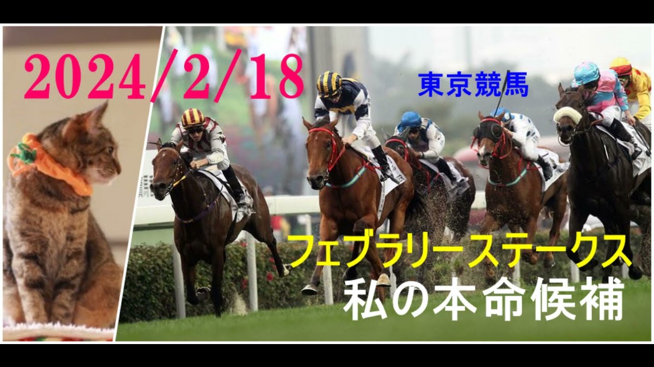 2024/2/18　東京競馬　フェブラリーステークス（ＧⅠ）私の本命候補
