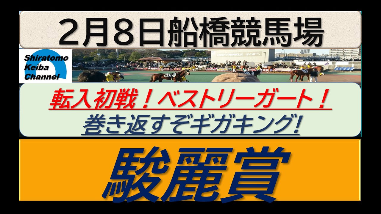 【競馬予想】駿麗賞　転入初戦ベストリーガード！～２０２４年２月８日 船橋競馬場 ：２－１７
