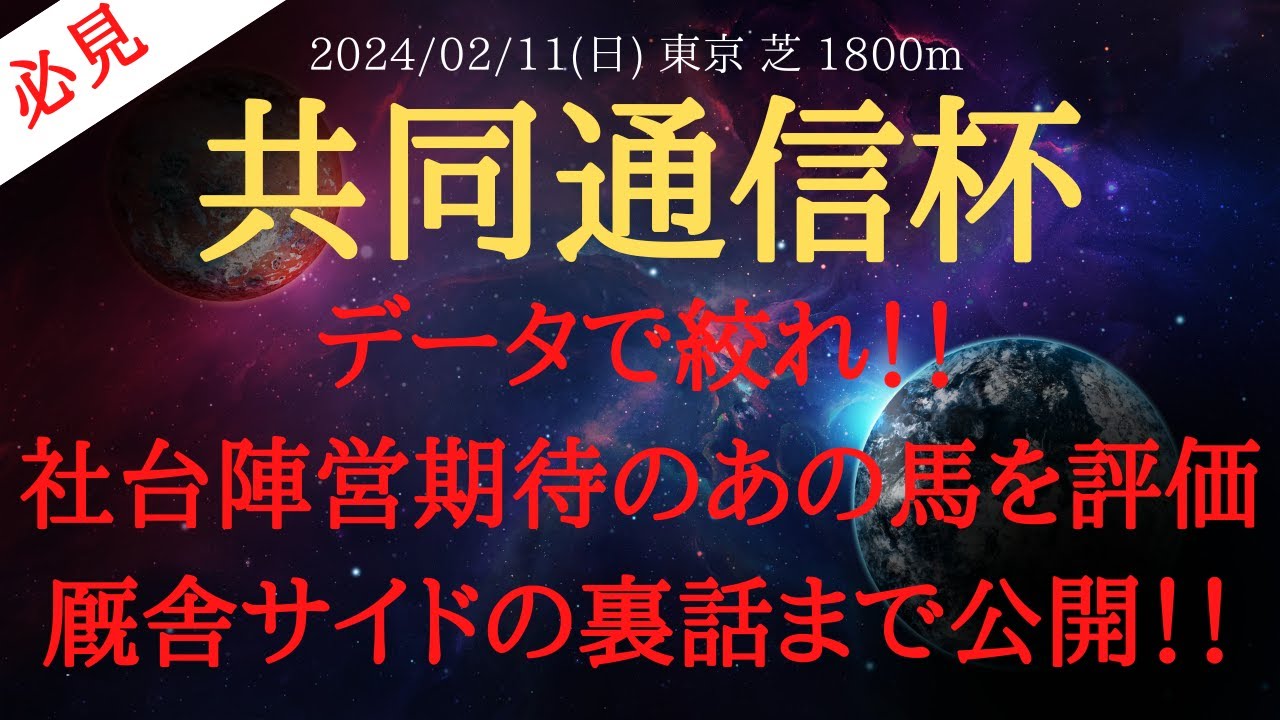 【 データ 】共同通信杯 2024 予想 データで絞れ！！社台陣営期待のあの馬を評価！厩舎サイドの裏話まで公開！！【中央競馬予想】