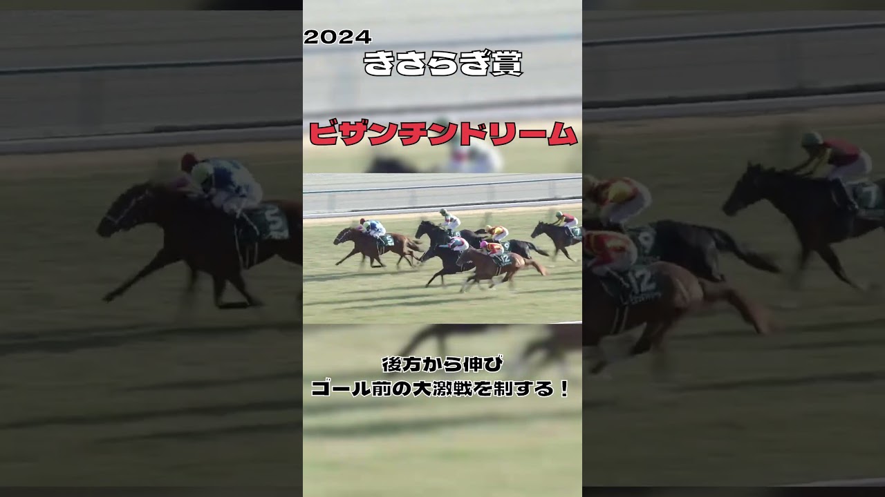 ビザンチンドリームがゴール前の大激戦を制す！ きさらぎ賞 2024#shorts