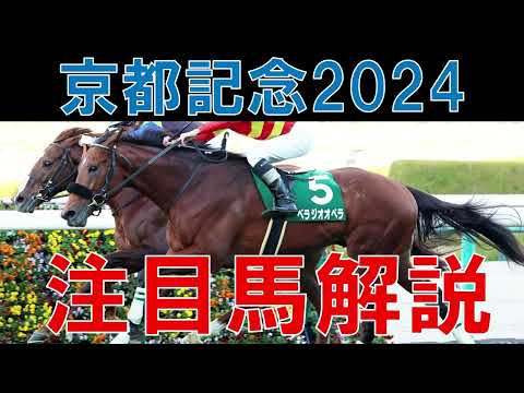 京都記念 2024 注目馬解説　伝統の古馬の1戦　勝つのはどの馬か？
