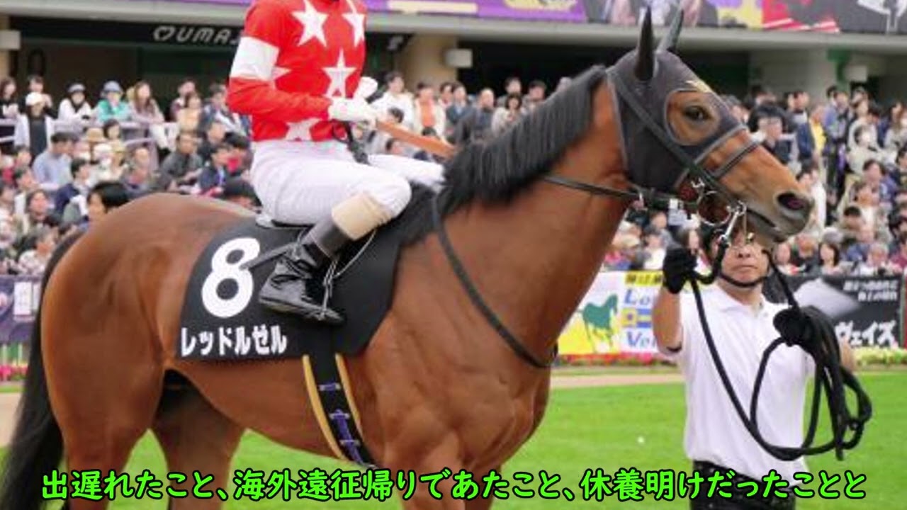 フェブラリーステークス,自信のある穴馬