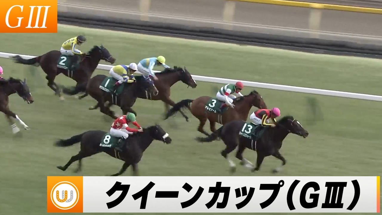 【2024】第59回デイリー杯クイーンカップ（GIII） 中山競馬場11R ｜ウイニング競馬 2024年2月10日（土）