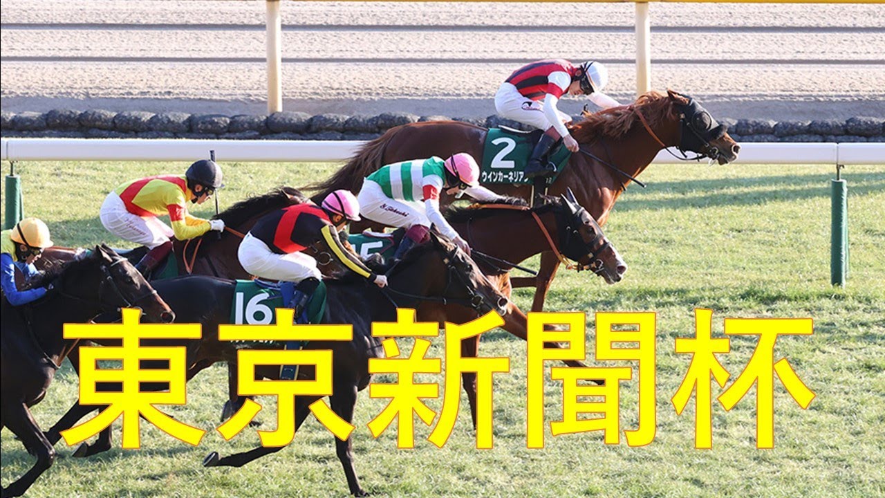 【東京新聞杯予想】難解、前をいく馬を中心に【2024年2月4日東京競馬場】