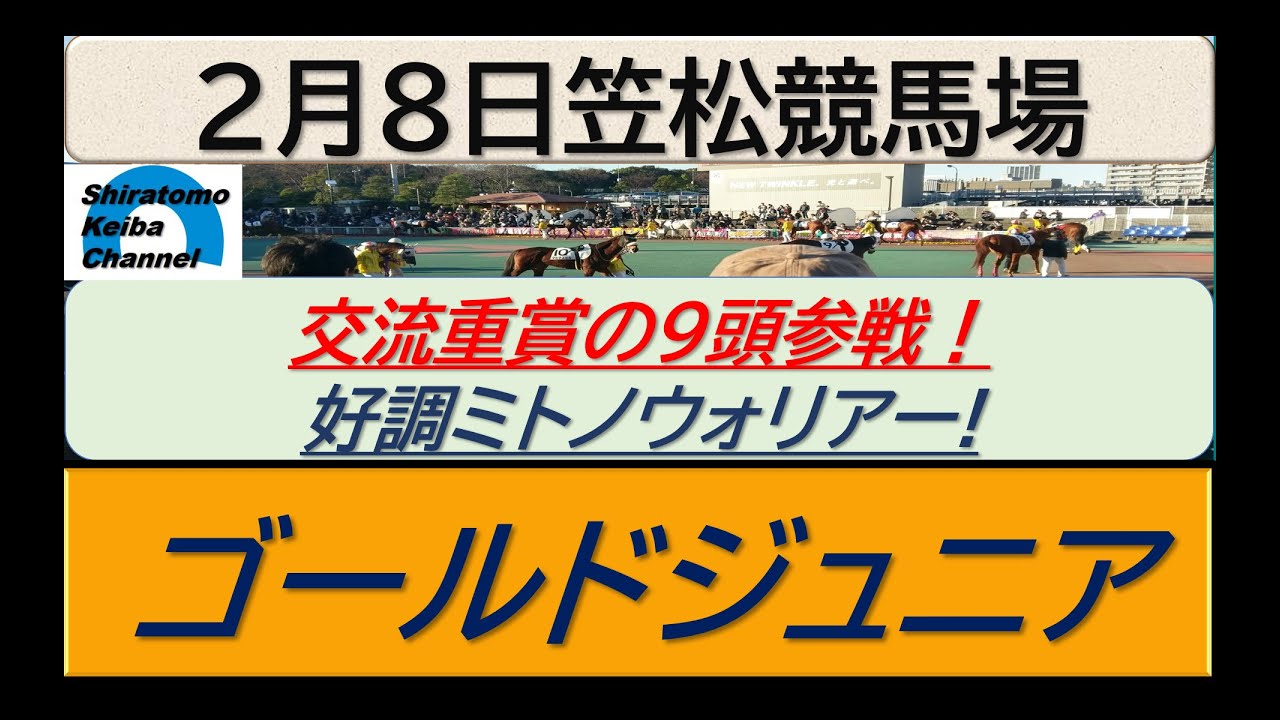 【競馬予想】重賞・ゴールドジュニア！～２０２４年２月８日 笠松競馬場 ：２－１９