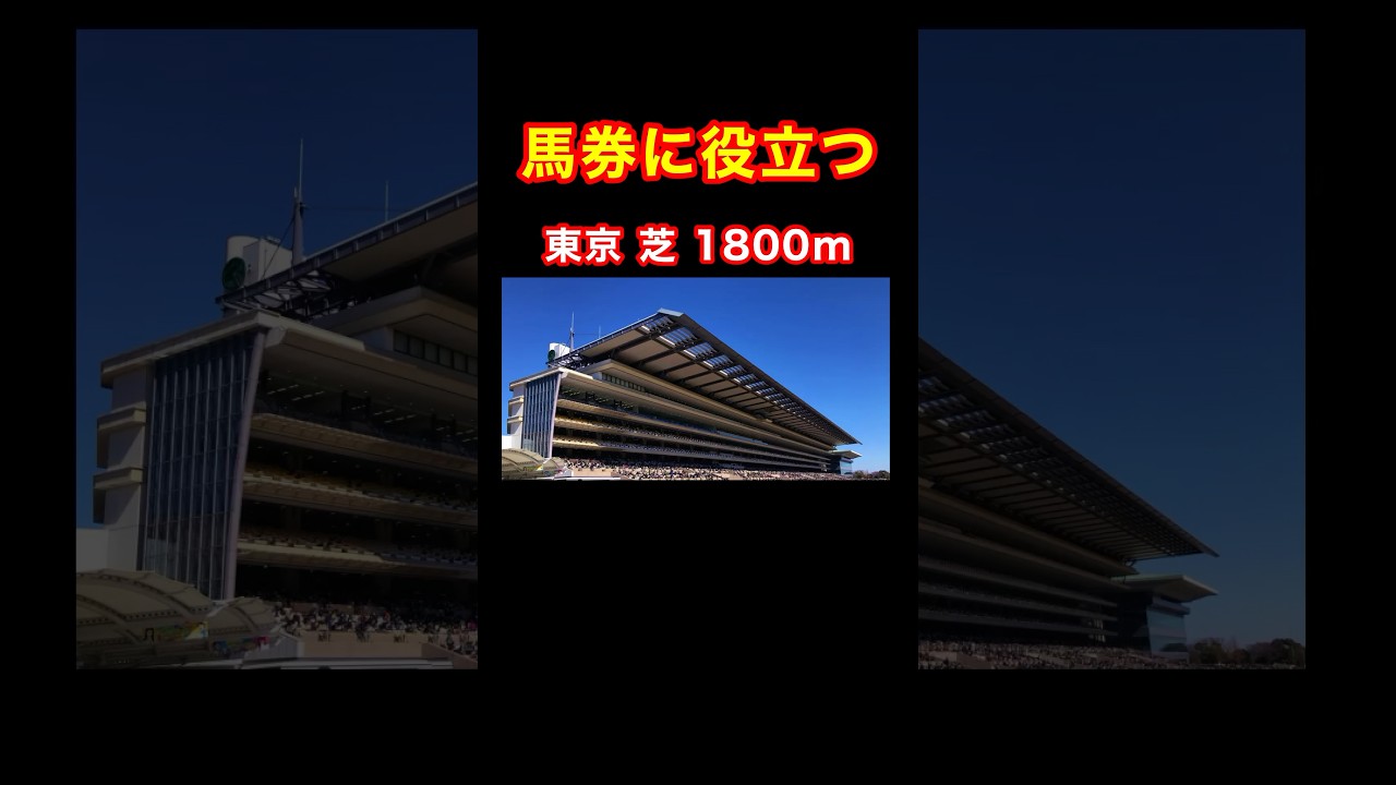 【馬券に役立つ東京 芝 1800m】 #競馬 #東京競馬場 #共同通信杯