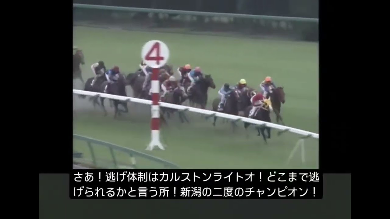 日本最速の韋駄天、カルストンライトオ04年スプリンターズステークス#jra #アイビスsd #アイビスサマーダッシュ #スプリンターズステークス #スプリンターズs #中山競馬場 #新潟競馬場 #競馬