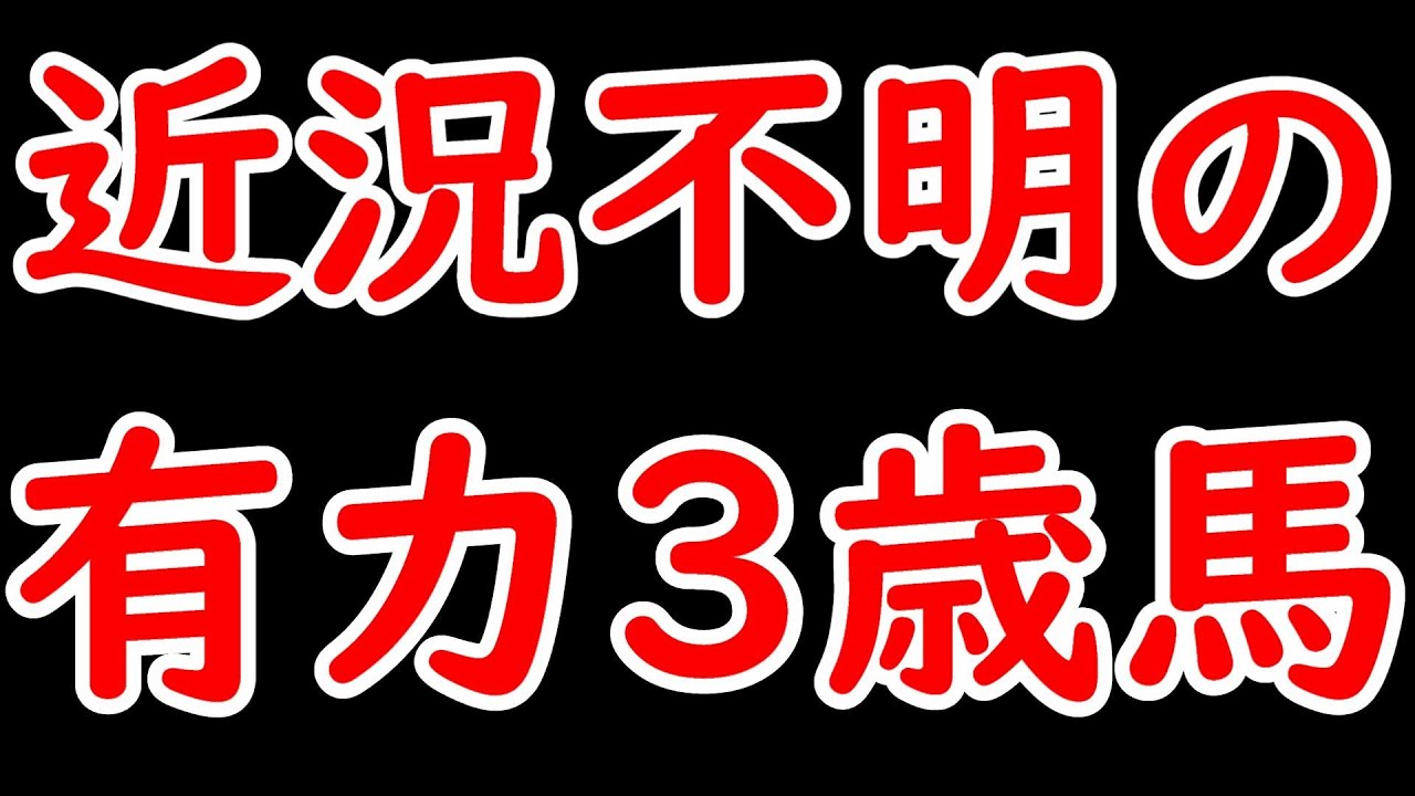 近況不明の有力3歳馬 ボルケーノやシャハザマーンなど6頭紹介【POG2024】