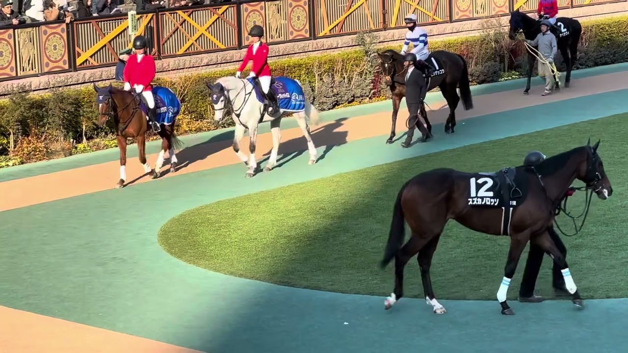 【ジャパンカップベストレース記念】パドック2