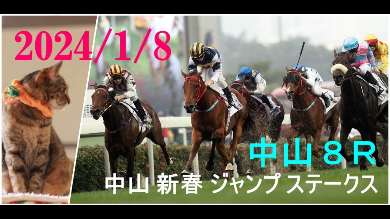 2024/1/8　中山８レース　中山 新春 ジャンプ ステークス　枠順確定