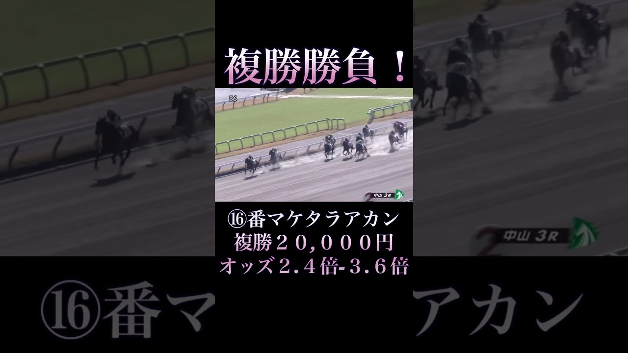 【競馬】馬券勝負！複勝20,000円買ってみた！ #競馬 #ギャンブル #大勝負